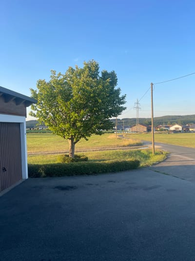 The image depicts an outdoor scene in a rural or semi-rural environment, possibly in Cham, Germany. The photograph is oriented vertically, showing a landscape under a clear blue sky, suggesting it was taken during the daytime with good weather.
In the foreground, a portion of a building with a dark brown, ribbed garage door is visible at the bottom. To the left of the garage, there is a dark wood-like structure with visible rafters. Adjacent to the building and extending into the midground is a lush green lawn or hedge.
Dominating the midground is a large, leafy green tree with a sturdy trunk, casting a shadow onto the grassy field behind it. Beyond the tree, a path or dirt track cuts through a sunlit field of grass and some drier vegetation. In the background, there are several buildings, including houses with white walls and dark roofs, nestled amongst rolling hills covered in trees. Power lines and a transmission tower are also visible in the distance, indicating the presence of infrastructure.
The lighting suggests it is either early morning or late afternoon due to the long shadows cast by the tree and the overall warm glow of the sun. The scene evokes a sense of tranquility and the beauty of a rural landscape bathed in natural light. There is no visible text in the image.