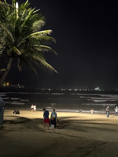 The image displays a nighttime scene on a sandy beach located in An Hải Ward, Da Nang, Vietnam. A large palm tree, illuminated by an unseen light source, dominates the left foreground, exhibiting green fronds and visible coconuts. The sky above is dark and cloudless. The middle ground reveals a wide expanse of beach sand, partially illuminated by ambient light, with visible shadows cast by individuals.

Multiple people are present on the beach. In the closest view, towards the bottom center, a male wearing a blue shirt and red shorts walks alongside a female in a light-colored top, accompanied by a small child in a light outfit, all moving away from the viewer towards the ocean. Further along the beach, closer to the water's edge on the left, two females are walking. To their left, a single individual is crouched near several dark objects on the sand. Towards the right side of the beach, a small child with outstretched arms is visible, seemingly playing, near a crouching adult. Further to the right, two additional adults are standing.

The ocean occupies the background, displaying dark water with visible white-capped waves breaking on the shore. Along the distant horizon, a line of artificial lights indicates a coastline or city, with one prominent, tall, illuminated structure visible towards the far left. Scattered lights from what appear to be ships or offshore installations are also visible on the dark water surface. A dark, possibly fabric-covered structure is partially visible in the bottom left corner of the image, immediately behind the palm tree.