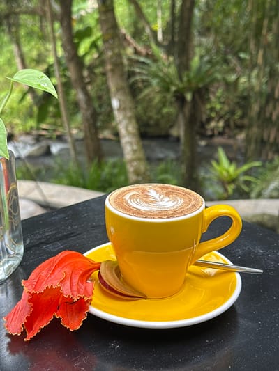 A yellow teacup and saucer are placed on a black table in an outdoor setting in Licin, Indonesia. A cup of coffee with latte art is placed on the saucer with a spoon resting in the cup. An orange flower and a green leaf extend from the bottom of the saucer on the right-hand side of the frame. A vase is sitting at the bottom of the frame. In the background, there are trees and foliage suggesting a natural environment.