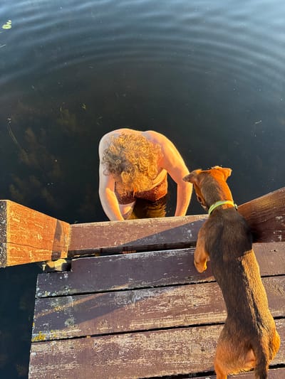 In Chikino, Russia, a person with curly blond hair, wearing patterned shorts, is partially submerged in dark water, leaning forward from a wooden dock. A small brown dog with a yellow collar stands on the dock, facing the person. The dock, constructed of weathered wooden planks, is illuminated by warm, low-angled sunlight, casting shadows. The water's surface is dark and calm, with some ripples and floating organic debris. The scene appears to be a natural outdoor setting, possibly a lake or river.
