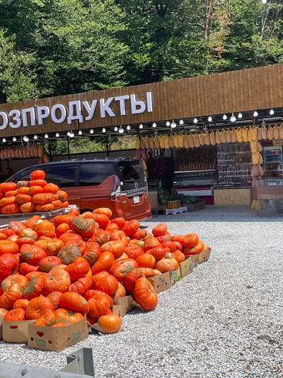 This image depicts an outdoor market stall in Gorskoye, Russia, situated at the base of a tree-covered hill. The stall features a wooden facade with large, illuminated white lettering that spells out "Г О З П Р О Д У К Т Ы", likely indicating "Agricultural Products" or a similar designation. A row of lightbulbs hangs below the sign, and further down, a series of yellow, net-like bags are suspended, possibly containing produce.
In front of the stall, a substantial display of pumpkins is arranged on a gravelly surface. These pumpkins vary in size and color, ranging from bright orange to greenish-brown. Some are piled high, while others are contained within cardboard boxes, one of which is partially visible with a "Global Village" logo.
A red and black minivan is parked behind the pumpkins, partially obscuring a section of the market stall where shelves stocked with various items are visible. The environment appears to be a natural setting, with lush green trees forming a backdrop to the market. The overall scene suggests a seasonal agricultural market, likely in autumn given the abundance of pumpkins.