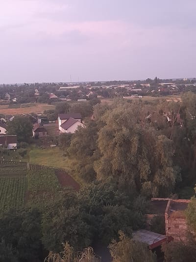 This is an aerial, slightly hazy photograph of a rural residential area, likely in Borodianka, Ukraine. The scene depicts a collection of houses with red-tiled roofs interspersed with trees and green fields. Some houses are single-story, while others appear to be two-story. Agricultural fields, possibly containing crops like vegetables or grains, are visible in the foreground and mid-ground, marked by rows of vegetation and patches of tilled earth. A few detached garages or sheds are also present. The environment appears to be a tranquil, somewhat undeveloped suburban or village landscape under a pale, overcast sky. No people are visible in the image.