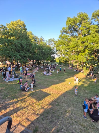 A park with a large gathering of people enjoying a sunny day is captured from a high vantage point. The scene is set in a verdant park with mature trees casting long shadows across the grassy ground. Numerous individuals and families are spread out on blankets, picnicking, and socializing. Children are seen playing and running around, with some engaged in activities with adults. Strollers are also visible, indicating the presence of young families. The environment suggests a relaxed outdoor event or a casual day out for leisure.
