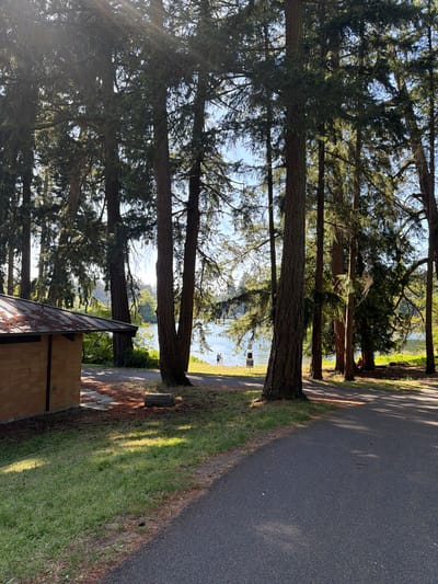 The image captures a serene scene at a park in Spanaway, Washington, USA. Towering evergreen trees dominate the foreground, their dense foliage creating dappled sunlight that falls onto a paved pathway and a grassy area. To the left, a small, utilitarian building with a brick exterior and a weathered metal roof stands partially visible. Beyond the trees, a tranquil body of water, likely a lake or pond, stretches into the distance, reflecting the clear blue sky. On the far bank of the water, a few individuals are visible enjoying the outdoors. Two figures stand near the water's edge, one appearing to be in shallow water. Further back, another person is seated in the shade of a tree. The overall ambiance is peaceful and natural, suggesting a day of relaxation and outdoor recreation.