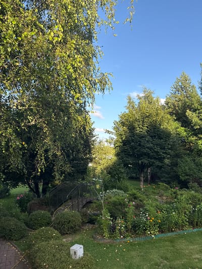The image depicts a serene garden scene in Yukki, Russia, bathed in the warm light of a clear, blue sky with scattered white clouds. Dominating the left side of the frame is a large, leafy tree, its branches casting dappled shadows across the meticulously maintained lawn. In the center, a charming arched footbridge, constructed of dark metal and stone, spans a small, trickling stream. Lush green bushes and a vibrant array of colorful flowers – including white, pink, and orange varieties – are artfully arranged around the bridge and along the garden's edge. The foreground features a pathway paved with reddish-brown bricks, and a bright yellow hose snakes its way across the grass, suggesting recent watering. A small, grey concrete structure with visible components rests on the lawn near the path. The background is filled with dense greenery, comprised of various trees and shrubs, creating a sense of depth and natural beauty. The overall impression is one of a well-kept, tranquil outdoor space.