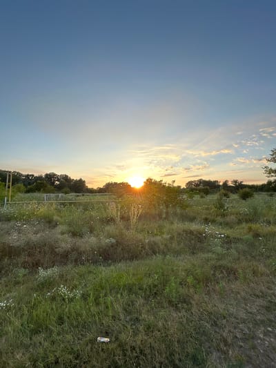 The image shows a field with tall grass and scattered wildflowers, possibly in Dzherokay, Russia. In the background, there is a line of trees and a setting sun casting a warm glow across the sky, with some clouds illuminated by its rays. A yellow fence runs horizontally through the middle ground, and a rudimentary metal structure, possibly part of a sports field or enclosure, is visible to the left. The foreground is dominated by the overgrown grass and wildflowers. A piece of litter, appearing to be a wrapper, is visible on the ground in the lower right quadrant of the image. The sky is a clear blue transitioning to lighter shades near the horizon. There are no people or animals visible in the scene.