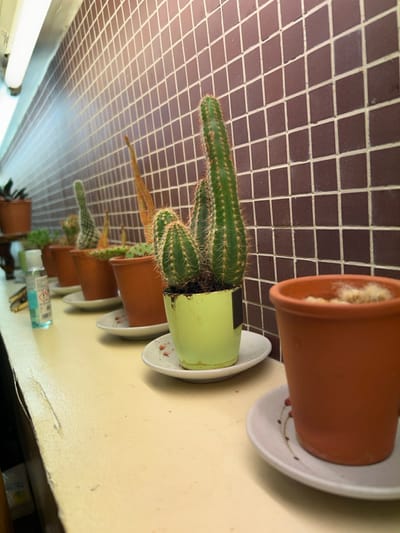 The image displays an indoor scene in Chevilly-Larue, France, featuring a collection of potted cacti and succulents arranged on a light beige countertop. The background consists of a wall tiled with small, square, dark brown tiles separated by light grout lines. A single horizontal fluorescent light fixture is mounted at the top left of the frame, illuminating the scene from above.
From left to right on the countertop, a dark green plant in a terracotta pot is partially visible, positioned on a small dark stand. Adjacent to it is a clear plastic bottle with a white pump, containing a light blue liquid, identified as hand sanitizer by its warning label. A row of potted plants follows, each placed on a white ceramic saucer. These include several terracotta pots containing various green cacti and succulents; specifically, one pot holds a tall, slender, orange-brown succulent, and another contains a multi-stemmed cluster of green, spiny cacti. The leftmost visible cactus is in a light green pot, also on a white saucer with visible reddish-brown specks. In the foreground on the right, an empty or sparsely planted terracotta pot containing a light, fluffy material rests on a white ceramic saucer with a subtle reddish-brown pattern. The countertop surface exhibits minor wear and discoloration. No individuals are present in the frame.