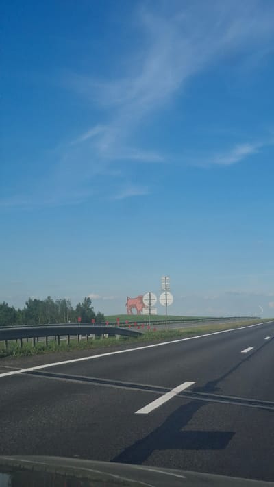 The image shows a highway with a clear blue sky and sparse clouds. The road is asphalt with white lane markings. On the side of the road, there are signs and a large red cutout of a bull. A metal guardrail runs along the edge of the road, separating it from a grassy area and trees. The overall scene suggests a rural or semi-rural location, possibly on a highway in Belarus, given the provided location context. The lighting indicates it is daytime, likely sunny. There is no text visible in the image.