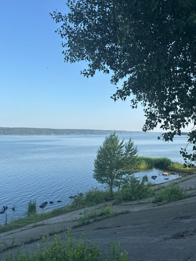 A wide shot captures a tranquil scene by the Kotlovka River in Kotlovka, Russia. The river, bathed in the soft light of a clear blue sky, stretches across the frame, its surface gently rippling. A lush green forest borders the far bank, creating a distant, serene backdrop. In the foreground, a concrete embankment slopes down to the water, dotted with sparse green vegetation. A few rocks are visible along the waterline, and several logs or debris float in the water near the embankment. A small, leafy tree stands near the water's edge, its branches reaching towards the river. Overhead, the dark green leaves of a large tree, partially obscuring the sky, frame the upper right portion of the image, adding a sense of depth and natural beauty to the landscape. The overall atmosphere is one of peaceful solitude.