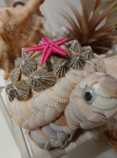 The image is a close-up, shallow depth-of-field photograph of a decorative object made from seashells. The object appears to be a whimsical representation of a sea creature, possibly a fish or a turtle, constructed from various types of shells. Its body is covered in layered, fan-shaped white shells, and it has a prominent googly eye. A bright pink, miniature starfish is affixed to the top of the object. In the background, out of focus, are larger seashells and what appears to be dried foliage. The overall impression is of a decorative craft item, likely intended for display in a coastal-themed setting. There is no indication of the city of Wedel, Germany, or any specific urban environment.