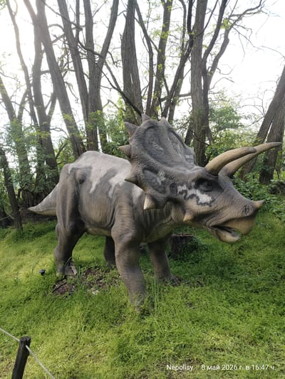 A statue of a Triceratops dinosaur stands in a grassy area surrounded by trees. The dinosaur is gray and brown with horns and a frill. It is positioned near a rope fence with wooden posts. The location is Chlumec nad Cidlinou, Czechia.