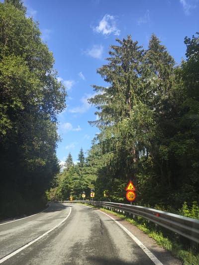 The image depicts a winding asphalt road flanked by dense green forests under a bright blue sky with scattered white clouds. The road has a white lane marker and appears to be slightly wet, reflecting the sunlight. Along the right side of the road, a silver metal guardrail runs parallel. Several traffic signs are visible: a yellow triangular sign with a black symbol of a person shoveling, indicating road work, is positioned above a circular yellow sign with the number "30" in black, signifying a speed limit of 30. Further down the road, additional yellow signs with black arrows indicating sharp curves are present. The overall scene is serene and natural, suggesting a rural or mountainous area. The location is identified as Borșa, Romania. There are no people or animals visible in the image.