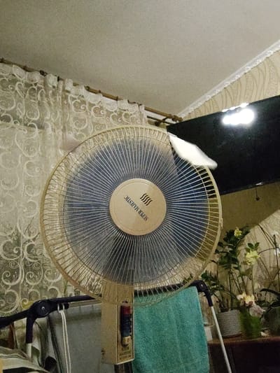 A standing electric fan with a metal grill is positioned in the foreground, partially obscuring a turquoise towel hanging on a clothes rack. The fan has a beige-colored motor housing with some visible buttons and text. A white piece of material, possibly a cloth or paper, is stuck to the fan grill. In the background, there is a television set mounted on the wall, displaying a bright reflection. To the right of the television, several potted plants with yellow and white flowers are visible. The room appears to be decorated with patterned wallpaper and sheer curtains with a floral design. The lighting in the room is dim, with a noticeable light source reflecting on the television screen. The scene is set indoors, likely in a residential apartment, with no indication of the specific location within Okhtyrka, Ukraine, beyond it being an interior space.