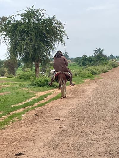 A person wearing a brown garment and head covering rides a donkey on a dirt road in Basirka, Nigeria. The donkey is facing away from the camera, with its tail visible. The person's legs are visible, and they are wearing sandals. The road is flanked by green grass and bushes. In the background, there are trees and a cloudy sky. A bicycle is leaning against a tree to the left of the frame. The scene appears to be rural.