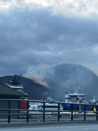 The image depicts a panoramic view of a coastal city, identified as Ålesund, Norway, under an overcast sky. In the background, a large, dark mountain dominates the scene, exhibiting an active wildfire across its middle and upper slopes. Multiple plumes of pale smoke rise from the burning areas, partially obscuring the mountain's features, including a tall, slender mast or antenna structure near its peak. The fire appears as distinct orange-red flames spread horizontally across the dark green/brown vegetation of the mountainside.

In the midground, a body of water, consistent with a harbor or fjord, stretches across the frame. Several vessels are visible within this water. On the left, a large multi-deck ship with a white superstructure and dark hull is partially visible behind a dark-roofed building. Towards the center, a white passenger vessel or fast ferry, labeled "HAVILA," is moored. To the right, a larger blue and white vessel, identified by the name "ELBJØRN" on its hull, is also docked.

The foreground features a dark metal railing, likely part of a bridge or promenade, running horizontally across the bottom section of the image, partially obscuring the water and vessels. A small section of a dark-roofed building is visible on the far left, beyond the railing. A yellow reflective sign with black stripes is partially visible on the right side of the foreground, behind the railing. No individuals are discernible in the frame. The overall impression is one of a marine environment with an ongoing wildfire incident on the adjacent landmass.