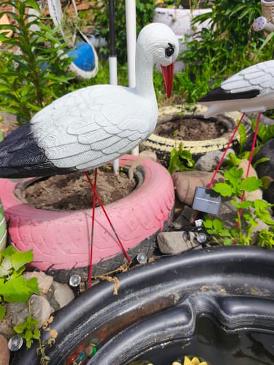 A close-up, eye-level outdoor shot captures a decorative stork figurine situated in a garden environment. The figurine, predominantly white with black wingtips and a red beak, stands on thin red legs. It is positioned in front of a pink-painted tire, which serves as a planter filled with soil. To the right, another stork figurine is partially visible, also appearing to be a decorative item. The background reveals lush green foliage, rocks, and a small solar-powered light. In the foreground, a black pond, likely a water feature, is visible, containing colorful decorative stones and a hint of a yellow flower, possibly a water lily. The scene appears to be a backyard or garden space in the city of Puchezh, Russia. The lighting suggests a sunny day.