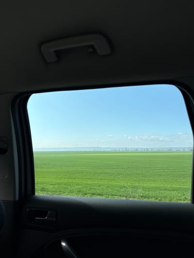 The image presents a forensic view from inside a vehicle, reportedly in Nadezhda, Russia, looking out a side window at a rural landscape. The vehicle's dark gray interior is visible in the foreground, including a segment of the headliner with a light gray grab handle at the top, and a portion of the dark gray door panel with a black door handle at the bottom left. The window frames a vast, flat, vibrant green field, likely agricultural, exhibiting horizontal cultivation lines extending to the horizon. A distant, faint line of trees or bushes, predominantly bare, marks the transition to a hazy, light blue background. The sky above is clear and light blue, containing several small, scattered white clouds. No people or active interactions are visible. The scene is illuminated by direct daylight.