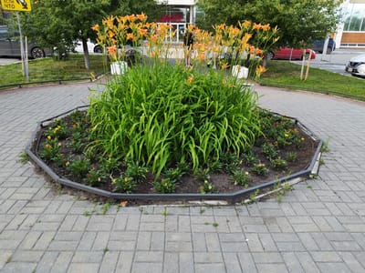 An octagonal flower bed with orange lilies and smaller green plants is centrally located on a grey brick paved area. Behind the flower bed, several trees with green foliage are visible, as well as the facade of a building with large windows and doors. Several people are standing near the building entrance. To the left and right of the flower bed, there are paved walkways and grass areas. Cars are parked on the street in the background. The scene appears to be in a public area in the city of Kurgan, Russia.