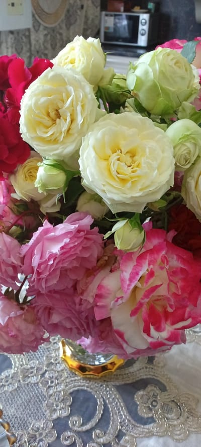 This is a close-up, eye-level, indoor shot of a bouquet of roses. The roses are of various colors, including white, pink, and red. Some roses are fully bloomed, while others are still buds. They are arranged in a clear glass vase with a gold rim. The vase is sitting on a decorative lace tablecloth. In the background, a microwave oven is visible on a shelf. The scene is well-lit, and the focus is on the roses. No people are visible in the image. The location is the city of Tbilisskaya, Russia, which is a rural settlement.