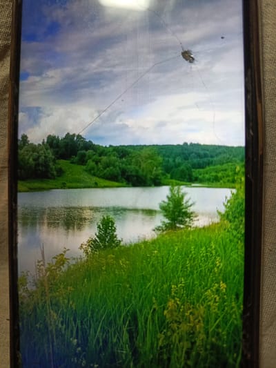 The image shows a landscape scene with a body of water in the foreground, reflecting the sky and surrounding trees. The water is calm, with gentle ripples on the surface. A lush green hillside covered in trees rises behind the water, and further in the background, a dense forest stretches across the horizon. The sky is partly cloudy, with patches of blue sky visible between the white clouds. The overall impression is one of a serene natural environment. The image is captured on a device with a cracked screen, which creates a distorted visual effect with lines and a central impact mark. The device is placed on a textured fabric surface. There are no people or animals visible in the image, nor any man-made structures, which suggests a remote natural location. The image does not provide any information about the city of Svoboda, Russia.