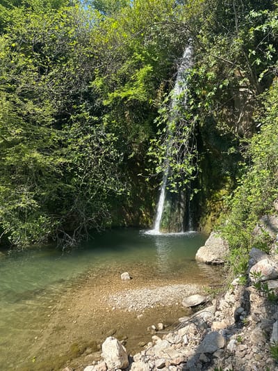 The image depicts a waterfall cascading into a pool of water, surrounded by lush green vegetation. The location is Markovići, Montenegro. The waterfall is relatively small, with a thin stream of water falling from a height. The pool at the base of the waterfall is shallow and clear, with a rocky bottom. The surrounding vegetation is dense and includes trees, bushes, and other plants. The scene is peaceful and serene.