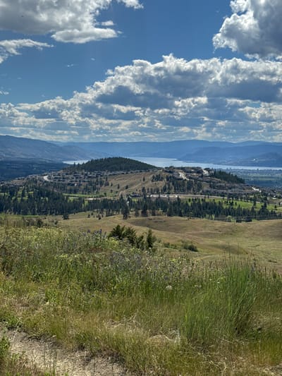 The image captures a scenic landscape viewed from a hillside, overlooking a developed area and a body of water. In the foreground, tall grasses and some wildflowers are growing on a dry, earthy slope. A path is visible winding through the vegetation.
The middle ground reveals a series of rolling hills covered with a mix of trees and manicured green spaces, likely a golf course. Scattered across these hills are numerous residential buildings, characterized by their dark roofs and consistent architectural style, suggesting a planned community. Roads are visible snaking through the development.
Further in the distance, a wide, calm body of water, likely a lake, stretches across the horizon, with mountains rising beyond it. The sky is partially cloudy, with dramatic white and gray clouds set against a blue backdrop, indicating fair weather. The overall scene suggests a suburban or exurban area integrated with natural landscapes, characteristic of communities in the East Central Okanagan Electoral Area of Canada, known for its picturesque lakes and hills. There are no people or animals visible in the image.