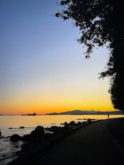 The image depicts a coastal pathway at sunset, identified as the Stanley Park Seawall in Vancouver, British Columbia, Canada, a city located within the Metro Vancouver Regional District, which includes Electoral Area A. The sky displays a gradient from light blue at the zenith to vibrant orange and yellow hues at the horizon. The calm water in the mid-ground reflects these warm colors, with scattered dark, irregular rocks along the immediate shoreline on the left. Approximately five large marine vessels are visible as dark silhouettes on the water in the middle distance. A paved, dark pathway curves from the lower right towards the mid-ground, running parallel to the water. A single human figure, silhouetted against the bright horizon, walks or jogs eastward on this path in the mid-ground. The upper right portion of the frame is occupied by the dark silhouette of tree foliage extending into the scene. Distant, silhouetted mountains are discernible on the far horizon beyond the water. The scene is backlit, creating strong silhouettes in the foreground and mid-ground.