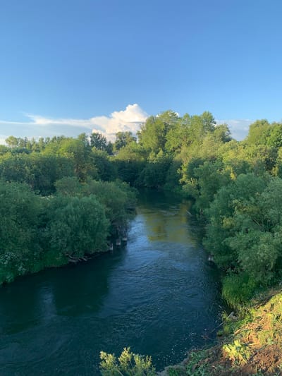 This image captures a serene natural landscape featuring a river flowing through a dense forest under a partly cloudy blue sky. The river, with its dark, rippling water, is the central element, bordered on both sides by lush green trees and vegetation. The trees, a mix of deciduous species, form a thick canopy that stretches towards the horizon. In the foreground, the riverbanks are visible, with some areas appearing eroded and covered with grass and soil. Several wooden posts are seen emerging from the water, possibly remnants of a bridge or pier. The overall scene suggests a tranquil, undeveloped natural environment. The location is identified as being in the city of Святица, Russia. There are no people or animals visible in the image.