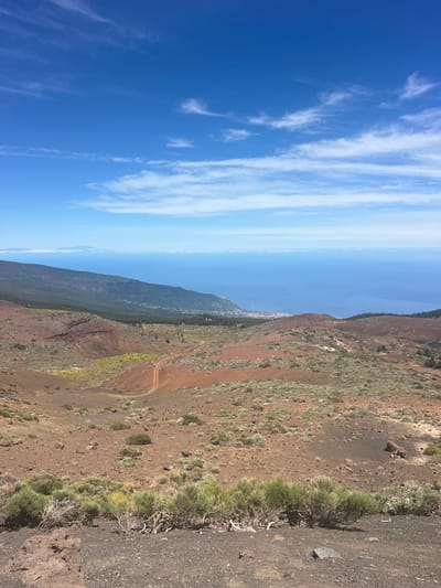 The image depicts a volcanic landscape with a vast blue ocean in the background. The foreground is characterized by dry, reddish-brown soil, scattered rocks, and sparse, hardy vegetation. A winding dirt path is visible descending into a valley. In the mid-ground, more reddish volcanic soil and low-lying green shrubs dominate. Further back, a dark green forest covers the slopes of a large mountain range that meets the ocean. The ocean stretches to the horizon, meeting a clear blue sky dotted with wispy white clouds. A town or village is visible along the coastline. The scene is likely a view from a higher elevation, possibly within or overlooking the natural park areas of La Orotava, Spain, known for its volcanic terrain and proximity to the coast.