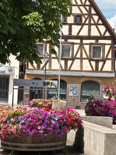 In Ebermannstadt, Germany, a picturesque scene unfolds in front of a traditional half-timbered building. The building features a distinctive pattern of dark brown beams against a white and yellow facade, with several windows. Below the building, a brick-lined storefront has arched windows displaying merchandise or scenery within. A sign above these windows reads "Delzbech Lebensmittellager & Bäckerei," indicating a grocery store and bakery. In the foreground, large wooden barrels and concrete planters overflow with vibrant, colorful flowers, predominantly pink, purple, red, and yellow petunias. A street lamp stands near the building, and a tree with lush green foliage partially obscures the upper portion of the structure. The overall impression is one of a charming, well-maintained European town square.
