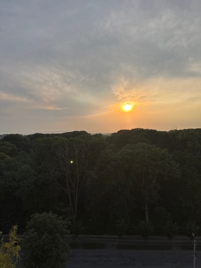 The image captures a sunset over a forested area, with a road and utility poles visible on the right. The sun, a bright orange orb, is partially obscured by clouds and is setting behind a dense line of trees that form a dark silhouette against the sky. The sky is a gradient of soft grays and oranges, indicating the late hour of the day. The trees are lush and green, with a few bare branches of a dead tree visible in the foreground, its stark form contrasting with the surrounding foliage. A faint, yellowish light emanates from a solitary lamp post in the distance, amidst the trees. The overall mood is serene and tranquil, with the fading light creating a peaceful atmosphere. The location context suggests Kolomyia, Ukraine, though there are no explicit textual cues in the image to confirm this. The scene is a natural landscape combined with man-made elements of a road and power lines, creating a view of rural or semi-rural life.
