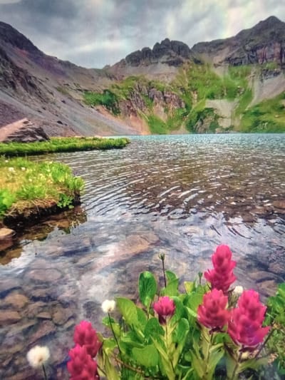 The image depicts a serene mountain lake scene. In the foreground, vibrant pink wildflowers with green foliage are in focus, growing along the edge of the water. The water itself is clear, revealing a rocky bottom. To the left, a grassy bank with more small white flowers leads towards the lake. In the background, a rugged mountain range with steep, rocky slopes rises dramatically. Patches of green vegetation dot the mountainside, and the sky above is overcast with a mix of grey and white clouds. The overall impression is one of natural beauty and tranquility. The image does not provide any information that would suggest a location in the city of Qorowul, Uzbekistan.