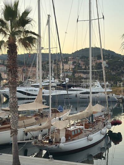 The image shows a harbor with several sailboats docked. The sails are furled, and the masts of the boats create a striking vertical composition against the hazy sky. In the foreground, a palm tree frond is visible, adding a tropical element to the scene. The background features a hillside covered with buildings, suggesting a coastal town. The lighting indicates that it is either early morning or late evening, with soft, diffused light. The water in the harbor is calm, reflecting the boats and the sky. The overall mood is peaceful and serene. There is no visible text in the image. The location is Imperia, Italy.