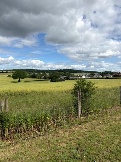 This is a landscape photograph depicting a rural scene in Hertsmere, United Kingdom, captured on a partly cloudy day.
The sky, occupying the upper half of the image, features a dynamic mix of bright blue patches and large, billowy white cumulus clouds. Towards the left, some darker grey clouds are also visible, suggesting varying weather conditions.
In the foreground, along the right side, a wire fence with wooden posts separates two areas of grass. To the immediate right of the fence, the ground is covered in lush green grass and taller weeds. A small, bushy green tree is positioned near the fence. A small orange and white object is discernible lying in the grass on the far right.
The midground is dominated by a vast, light green field, likely agricultural crops such as wheat or barley, stretching horizontally across the frame. Within this field, towards the left, a large, mature tree with a full, dark green canopy stands in isolation, casting a faint shadow.
In the distance, a line of houses and buildings with varying roof colors (mostly reddish-brown) and light-colored walls can be seen, nestled amidst trees. Behind this residential area, a dense, dark green line of trees forms a substantial woodland or forest, extending across the horizon. Further away, faint outlines of more fields and distant topography are visible under the cloudy sky.
The image captures a serene, open landscape, devoid of people or specific activities, highlighting the natural beauty and rural character of the area during what appears to be late morning or early afternoon. No visible text is present.