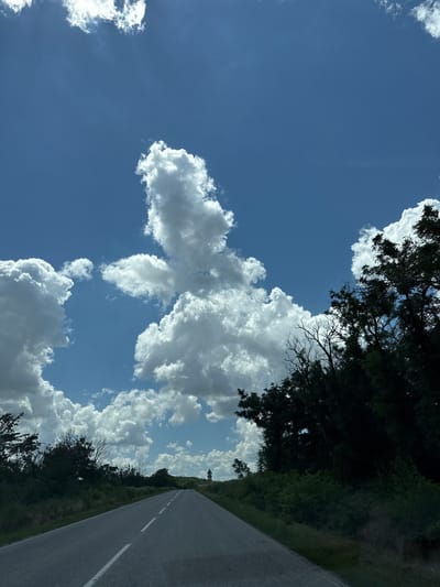 The image displays a scenic view of a road leading through a rural landscape in Koilovtsi, Bulgaria. A clear blue sky dominates the upper portion of the frame, adorned with large, fluffy white clouds, some of which are dramatically lit by the sun. The road itself is asphalt, marked with white dashed lines, and curves gently into the distance. To the right of the road, a dense line of dark green trees forms a natural border, with some bare branches reaching upwards. The left side of the road features a lower, more varied vegetation, including bushes and grass. In the far distance, a solitary pole or structure is visible on the horizon. The overall impression is one of a bright, sunny day in the Bulgarian countryside.