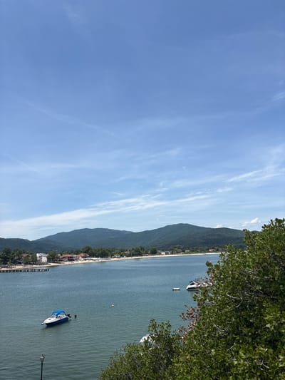 The image shows a coastal scene in Olympiada, Greece, with a view of the Aegean Sea. In the foreground, lush green foliage partially obscures the view of the water. The sea is calm, with several boats visible. A small white and blue motorboat is in the center of the frame, with a black object, possibly an anchor or a buoy, next to it. Further out in the water, another larger white boat is partially visible near the shore.
In the middle ground, a long wooden pier extends into the sea from a populated coastline. Along the shore, there are buildings with red-tiled roofs, characteristic of Greek architecture, interspersed with trees and a sandy beach dotted with sunbathers and umbrellas. The beach appears to be a popular spot, with people relaxing and enjoying the seaside.
The background features a range of green, rolling hills that form a natural backdrop to the coastal town. The sky above is a clear, bright blue, with scattered wispy white clouds, indicating fair weather. The overall impression is of a serene and picturesque summer day in a Greek coastal resort.
