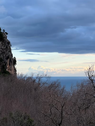 The image displays a panoramic natural landscape, rotated 90 degrees clockwise from its intended orientation. When viewed correctly (rotated 90 degrees counter-clockwise), the scene features a distinct horizon line separating a vast sky from a body of water, with landmasses occupying the lower portions of the frame.
The sky, filling approximately the top two-thirds of the image, presents a dramatic contrast. On the left side, dark, heavy blue-grey clouds dominate, suggesting a thick cloud cover or perhaps an approaching weather front. Towards the center and right, the sky transitions to a lighter, clearer blue, punctuated by voluminous, white and slightly golden-hued clouds that appear to be catching the light from a low sun. These brighter clouds have a textured, almost ethereal quality.
Below the horizon, a calm, blue body of water extends across the middle of the image. The water appears placid, with subtle variations in blue that hint at depth or light reflection.
In the lower right portion of the image, a dense array of trees with bare, intricate branches forms a significant part of the foreground and midground. These deciduous trees, devoid of leaves, exhibit a dark, skeletal silhouette against the brighter sky and sea, indicating winter or early spring. Their branches reach upwards, some extending into the upper right corner of the frame.
On the lower left side, a rugged, rocky outcrop or cliff face is visible. The rocks are dark grey and brown, with visible textures. Sparse green vegetation, possibly small shrubs or bushes, clings to the rocky surfaces, providing a touch of green amidst the starker tones of the rock and bare trees.
The lighting conditions, with the contrast between dark and bright clouds and the warm light hitting some cloud formations, strongly suggest either early morning sunrise or late afternoon sunset. The overall atmosphere is one of serene natural beauty, with a hint of dramatic weather dynamics. There is no visible text in the image.
