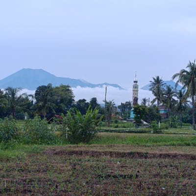 The image shows a view of a tall mosque minaret, located in Arjasa, Indonesia at the coordinates -7.772 latitude and 114.139 longitude.  The minaret is situated in the middle ground of the image and has a tall, slender design with a white and green color scheme. It stands out against the backdrop of a misty mountain range. The foreground is dominated by a field of grass and foliage, which creates a sense of depth and perspective.  Several palm trees are interspersed within the grass and foliage.  The sky is a hazy blue, suggesting an early morning or late evening atmosphere. The overall scene is calm and serene, highlighting the peaceful nature of the location.