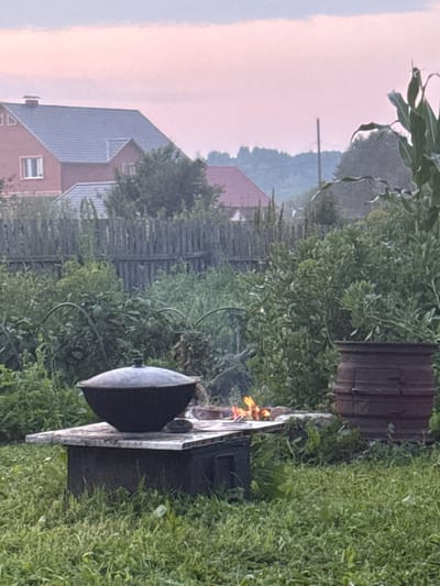 The image depicts an outdoor scene in the village of Sela, Russia, likely during twilight given the soft pink hues in the sky. In the foreground, a large, dark, cast-iron cauldron sits atop a makeshift stove made of dark metal. Flames are visible beneath the cauldron, indicating cooking or heating. To the right of the cauldron, a weathered, cylindrical object, possibly a large pot or barrel, is situated. Surrounding these elements is lush green grass and dense vegetation.

In the background, a wooden fence encloses a garden area with more greenery and what appears to be corn stalks. Beyond the fence, two houses with dark roofs are visible, one a reddish-brown color with white trim and windows, and another in the distance with a red roof. The overall impression is of a rural, possibly domestic, setting where outdoor cooking is taking place. The environment suggests a summer evening.