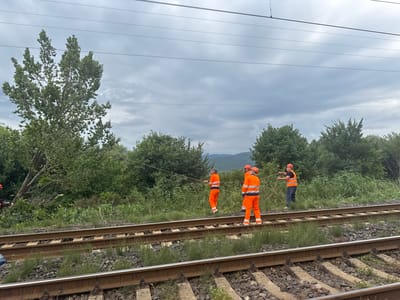 Four individuals in orange safety vests and pants are on train tracks, holding a rope. The scene is outdoors with lush green vegetation and trees. In the background, hills are visible under a cloudy sky. The train tracks consist of two sets of parallel rails. The individuals appear to be working together, possibly in a repair or clearing operation.