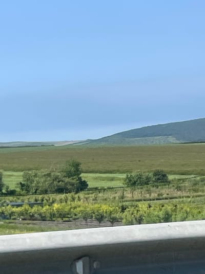 The image shows a wide, expansive landscape under a clear blue sky. In the foreground, a concrete barrier runs horizontally across the bottom of the frame. Behind the barrier, there is a stretch of green vegetation, with rows of trees and smaller plants. Beyond this, rolling hills covered in green grass dominate the middle ground, with some scattered trees. Further in the distance, a larger, more subdued hill forms the backdrop, its contours softened by the haze. The overall impression is one of open, rural land. The scene does not appear to be within the city of Zarya, Russia, but rather in a natural, possibly agricultural or park-like setting. There are no people or discernible actions present in the image.