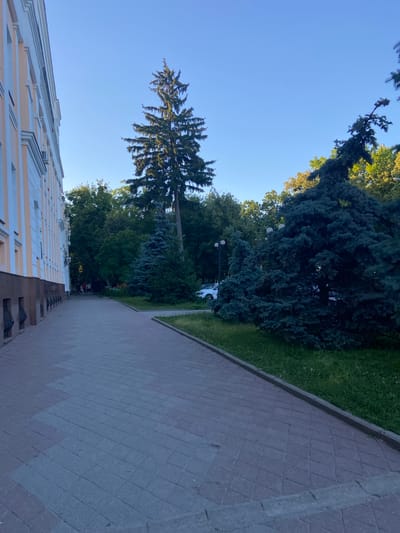 This is a photograph taken from a sidewalk in the city of Nyzhni Mlyny, Ukraine. The sidewalk is paved with interlocking bricks, a portion of which is a lighter color than the rest, suggesting a repair or newer installation. To the left of the sidewalk is the exterior of a building with a light beige facade and white decorative vertical elements. The building has multiple windows, some with air conditioning units visible. Along the base of the building, there is a darker colored trim and decorative metal railings. Further down the sidewalk, a group of four people are walking away from the camera.

To the right of the sidewalk is a grassy area with several trees. Prominently featured are two large, dark blue-green coniferous trees. Behind them, a taller, lighter green coniferous tree stands out against the sky. The background is filled with lush green foliage from a variety of trees. The sky is clear and a bright blue, indicating it is daytime and likely sunny. In the middle distance, between the trees, a white car is parked. Several lampposts are also visible among the trees. The overall scene depicts a well-maintained public space with a mix of urban architecture and natural elements.