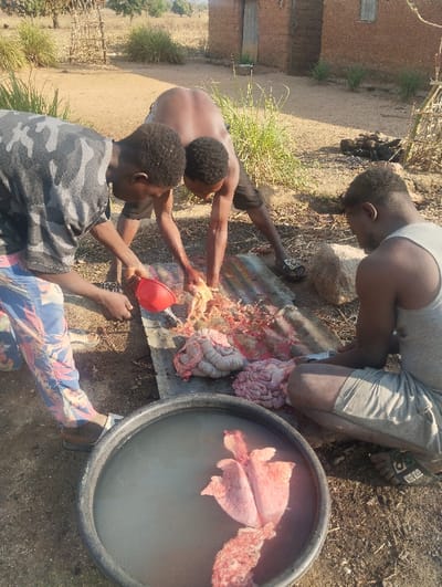 Three shirtless or partially clothed men are outdoors, cleaning animal entrails on a corrugated metal sheet. One man pours water from a red container. Another man sits, holding a knife. A black tub contains water and what appears to be lungs. Additional entrails are on the metal sheet. The scene is set outside near a simple brick building and dry vegetation.