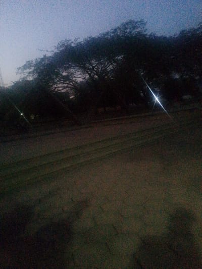 The scene depicts an outdoor environment at dusk or night in Alabata, Nigeria. The upper third of the image shows a dark, muted blue-grey sky with visible image noise. Below the sky, a dense line of trees, silhouetted against the ambient light, extends across the middle and background. The trees appear heavily branched, but individual leaf details are obscured by darkness. The foreground and mid-ground consist of a dark, textured surface, possibly an unpaved road or dirt area, exhibiting faint parallel linear patterns running diagonally from the lower-left to the center-right. No individuals or distinct objects are visible on the ground. Two artificial light sources are present: a prominent, star-shaped white glare in the upper mid-right, likely from a streetlamp, and a smaller, fainter white point of light in the far left background. No actions or interactions are discernible.
