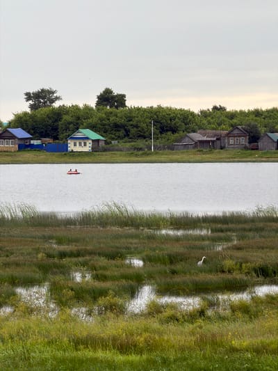 The image depicts a serene natural landscape with a body of water in the foreground and a rural settlement in the background. The water, likely a lake or river, is calm and reflects the overcast sky. In the center of the water, a small orange raft carries two individuals. The foreground is a marshy area with tall green and yellow grasses and pools of water. Further back, a dense line of trees forms a natural barrier behind the settlement. The settlement itself consists of several modest houses with wooden walls and pitched roofs of various colors, including blue, green, and grey. Some houses have visible windows and wooden fences. A white bird, possibly a heron, stands in the marshy area to the right of the frame. The overall impression is one of a peaceful, rural environment in Tri Ozera, Russia.