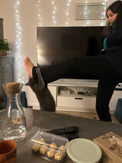 A person in black pants is walking near a gray cat on a table. The table has a remote control, a plastic box of chocolates, and a glass bottle. There is a TV on the wall next to a white cabinet. There is a plant on the floor. There are hanging lights on the wall.