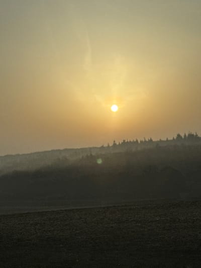A landscape photograph depicts a rural scene, consistent with the environs of Berg, Luxembourg, under a hazy, yellowish-orange sky. A bright, circular sun is positioned in the upper-middle of the frame, emitting a strong glow that illuminates the atmospheric haze. Below the horizon, a continuous line of distant hills or mountains is visible, topped by a dense, dark silhouette of coniferous trees across the midground. A lighter band of mist or atmospheric haze obscures the lower slopes of these hills. The foreground consists of a dark, relatively flat expanse of ground, indicative of a field, showing minimal discernible texture. A distinct, circular green lens flare is present in the lower-mid section of the image, to the left of the sun's vertical axis. No individuals, man-made structures, specific actions, or interactions are observable.