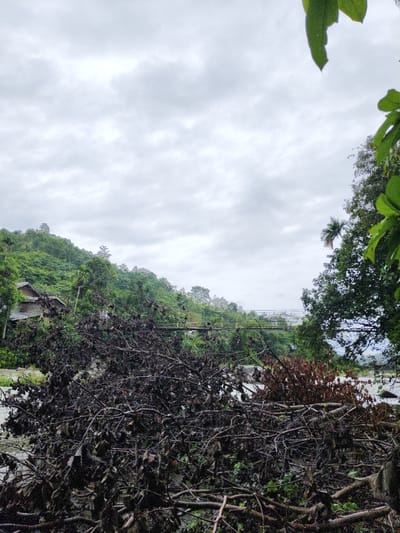 A cloudy sky looms over a lush, green hillside dotted with trees and a small house. A bridge spans a river, partially obscured by dark, tangled branches and leaves in the foreground. A few trees frame the right side of the image. The scene appears overcast and damp, potentially after a rain shower.