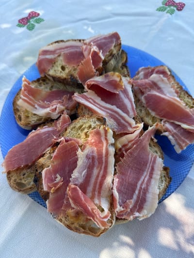 A close-up, eye-level shot captures slices of cured ham atop toasted bread arranged on a bright blue plate. The plate rests on a white tablecloth patterned with a small, embroidered red bow and green leaves, set outdoors in Santa Cristina d'Aro, Spain, evident from the dappled sunlight and shadow cast by surrounding foliage. The ham, thinly sliced, displays distinct layers of pink meat and white fat, creating a marbled effect. The bread, visibly toasted, has a rustic, crusty texture. The focus is sharp on the food, with the background slightly blurred, highlighting the textures and colors of the dish.