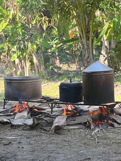 In a rural outdoor setting in Peurupok, Indonesia, three large metal cooking pots are positioned over an open fire. The pots are of varying sizes and shapes, with two wider, shallow pots and one taller, narrower pot with a conical lid. Flames from the fire are visible beneath the pots, indicating that cooking is in progress. The surrounding environment is lush and green, with numerous banana trees and dense foliage visible in the background. The ground is covered in dry leaves and debris, suggesting a natural, undeveloped area. There are no people visible in the image. The scene appears to be a traditional outdoor cooking setup.